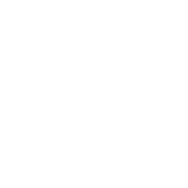 Rental Property Problems after Disaster Icon
