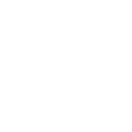 Disaster Aid icon