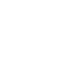 Robo de Identidad Icon