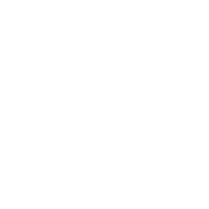 Public Housing Icon