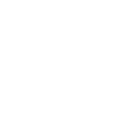 Repossession Icon