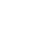 Student Loans Icon