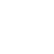 Military and Veterans icon