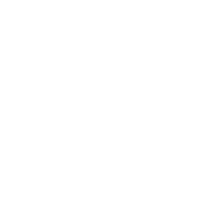 Paycheck Garnishment Icon