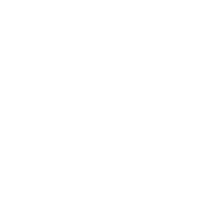 Homeowners Insurance after Disaster Icon
