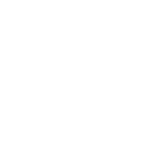 Circuit Court Icon