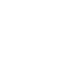 Federal (District) Court Icon