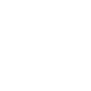 SNAP/Food Assistance after Disaster Icon