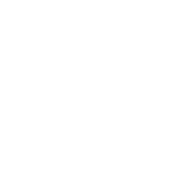 Starting a Non-Profit Icon