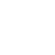 Power of Attorney Icon