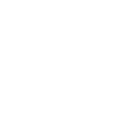 Denuncia de Irregularidades Icon