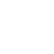 Protección Contra la Violencia Icon