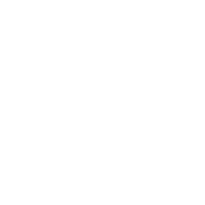 Opciones de Cobertura Según la Ley de Atención Médica Asequible Icon