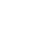 Florida Lemon Law (Car Purchase Protection) Icon