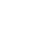 Subsidized Housing for Elderly and Disabled People Icon